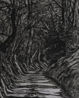 Tree Shadows on Radnor Lane by Peg Morris