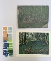 Emerald Forest - additional view