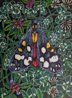 Scarlet Tiger by Helen A Taylor