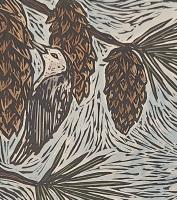 Nuthatches - additional view