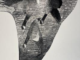 In the heart of the flock - additional view