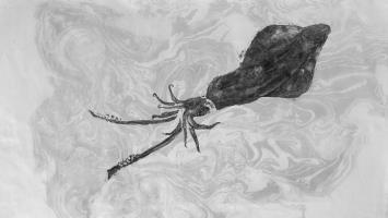 Gyotaku of squid by Anders Verschuren