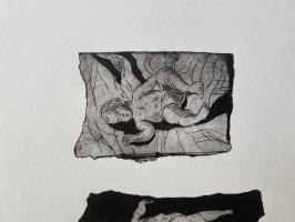 Fever - additional view