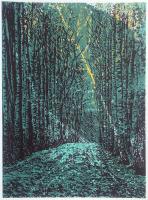 A light beyond these woods by Gerry King