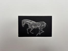 Psychopomp - additional view