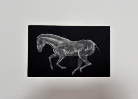 Psychopomp - additional view