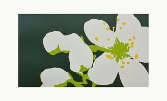 Blossom No.37 - additional view