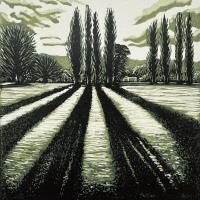 Last Light of Autumn by Anna Lansley