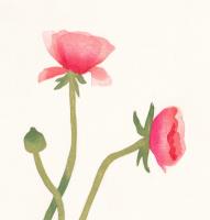 Summer Blooms - additional view