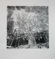 Beinn Eighe, Dry Burn - additional view