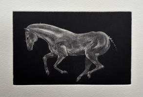 Psychopomp by Anna Pickard