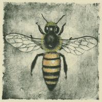 Apis Mellifera - additional view