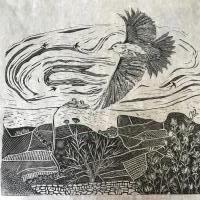 Skylark on Dartmoor by Courtney Arnold
