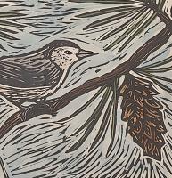Nuthatches - additional view