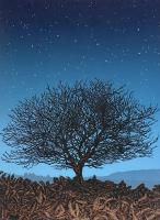 Reach For The Stars by Lisa Benson