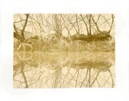 Rerooted (on Quidi Vidi Shore) by Oscar Jarsky