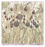 Summer Meadow by Alison Tidmarsh