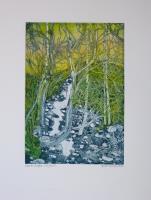 Beinn Eighe, Dry Burn by Fenella Ross-Elmer