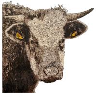 The Bull of Cissbury by Wayne Longhurst