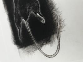 Myomancy - additional view