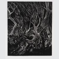 Wood of Wild Olive - additional view