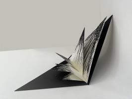 Serra: Artist's Book - Multiple Choice Series by Leonor Décourt