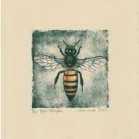 Apis Mellifera by Gini Wade