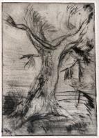 Tree - Alone by Evangelia Hamilton