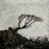 Holding Strong - additional view