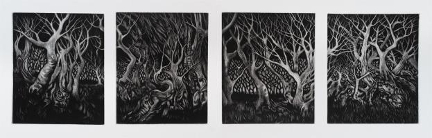 Wood of Wild Olive by Ian Cox