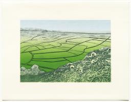 From Graig Fawr by Ruth Thomas
