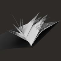 Serra: Artist's Book - Multiple Choice Series - additional view