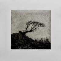 Holding Strong - additional view