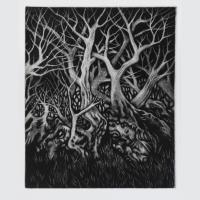 Wood of Wild Olive - additional view