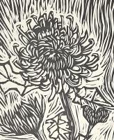 Grow - additional view