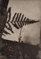 Her thoughts echoed by Hilda Goold