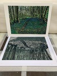 Emerald Forest - additional view