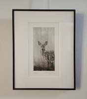 Deer - additional view