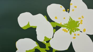 Blossom No.37 by Grace Beswick