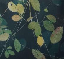 Folige - additional view