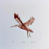 Stork by Helena Meireles