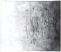 The Clearing by Emilia Telese