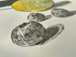 Lemon and Blueberries - additional view