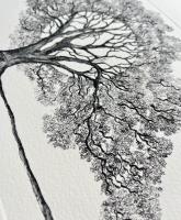 The Light Between Worlds - additional view