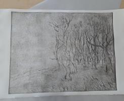 The Clearing - additional view