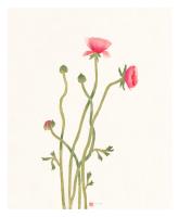 Summer Blooms by Mariko Jesse