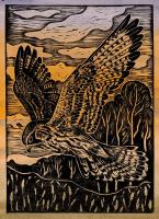 Hovering Kestrel by Megan Rogers