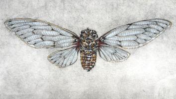 'Ressurection' by Cróna Gallagher