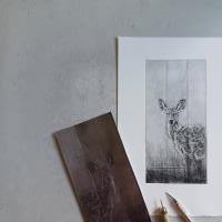 Deer - additional view