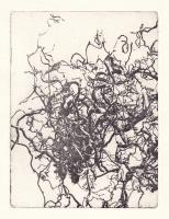 Bäume 4 (Trees 4) by Ruediger Ganslandt